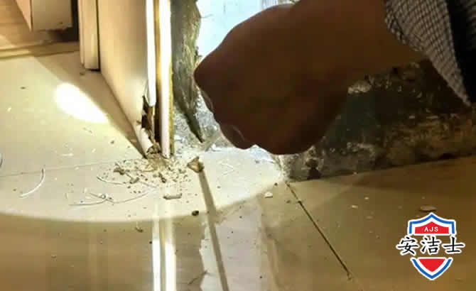 嘉善房屋建筑防治白蚁