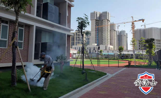 嘉善工厂工地除白蚁