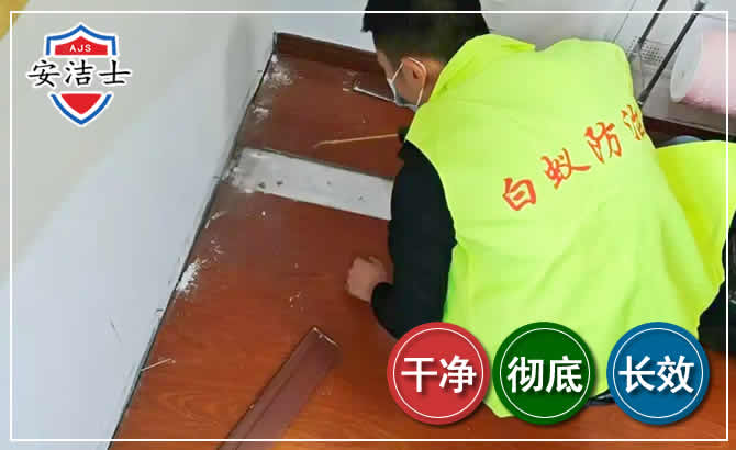 嘉善除四害现场