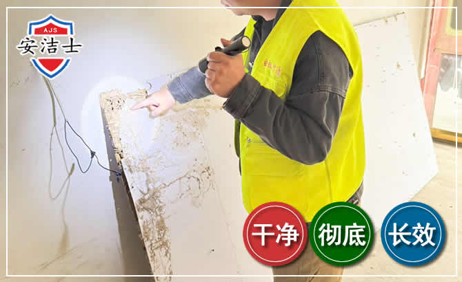 嘉善除白蚁现场