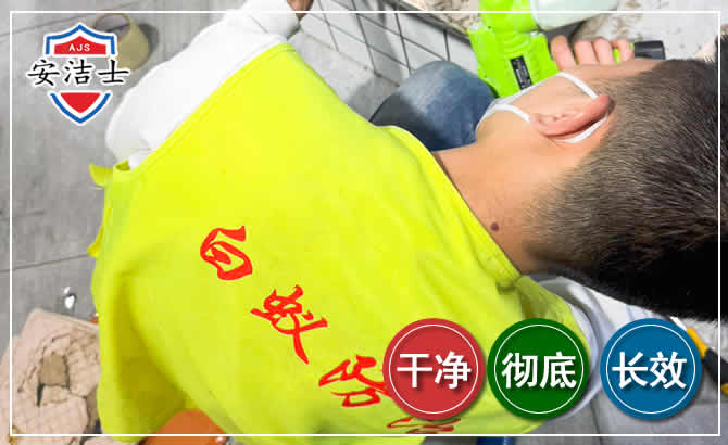 嘉善白蚁根治现场